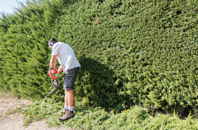 Paysagiste savoir faire du jardinage